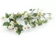 Ghirlanda di Rosa artificiale Bianco 5
