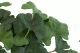 Ginkgo Biloba artificiel - Ignifug&eacute; 2