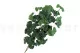 K&uuml;nstlicher Ginkgo biloba - feuerbest&auml;ndig 6