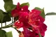 Guirlande de Bougainvillier artificielle Fuchsia - Ignifug&eacute;e 2