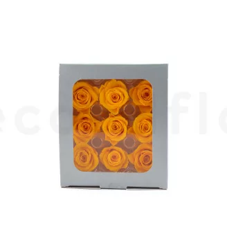 Rosa stabilizzata M Sunny Yellow (x9)