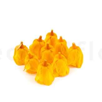 Preserved rose Kiara M - Box of 9 - Sunny Yellow