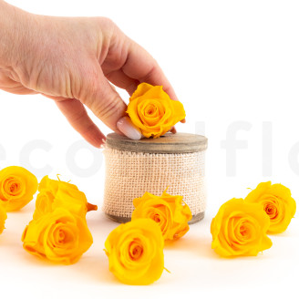 Rosa preservada Kiara M - Caja de 9 - Sunny Yellow