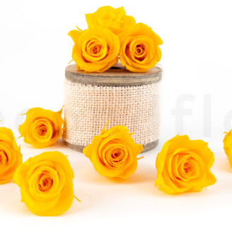 Stabilisierte Rose Kiara M - Verpackung 9 St. - Sunny Yellow