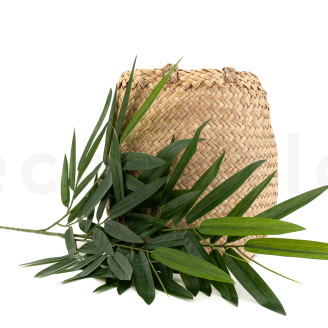 Branche de Bambou Artificielle - Vert