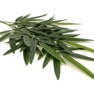 Artificial Bamboo Branch - Green