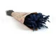 Preserved Lavender Blue 7