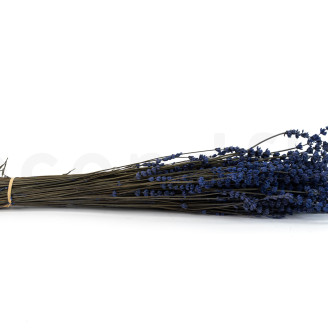 Lavanda preservata - Mazzo - Blu