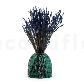 Preserved Lavender Blue