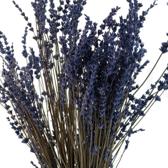 Lavanda preservata - Mazzo - Blu