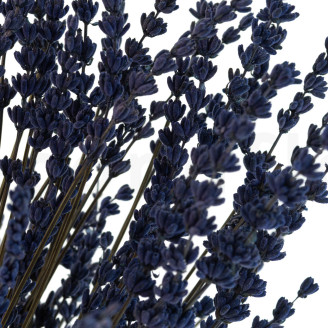 Lavendel Konserviert - Strau&szlig; - Blau