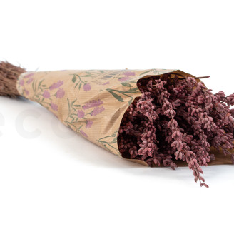 Lavanda preservata - Mazzo - Rosa