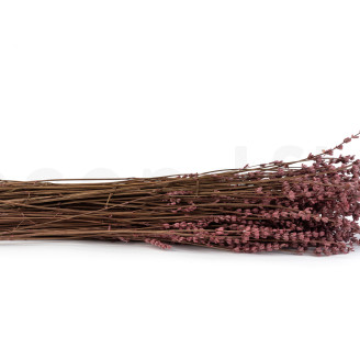 Lavendel Konserviert - Strau&szlig; - Rosa