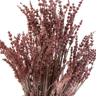 Lavanda stabilizzata - Mazzo - Rosa