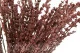 Lavanda stabilizzata Rosa 2
