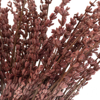 Lavanda preservata - Mazzo - Rosa