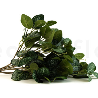 Fittonia Artificial Ign&iacute;fuga - Verde