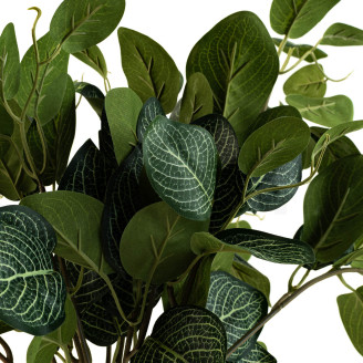 Fittonia Artificiale Ignifuga - Verde