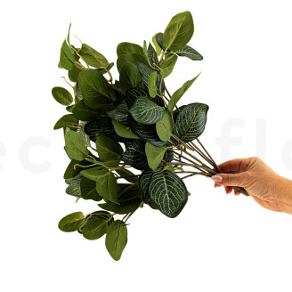 Fittonia Artificielle Ignifug&eacute;e - Vert