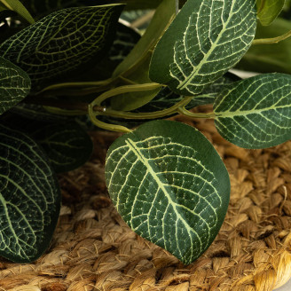 K&uuml;nstliche Fittonia Feuerbest&auml;ndig - Gr&uuml;n