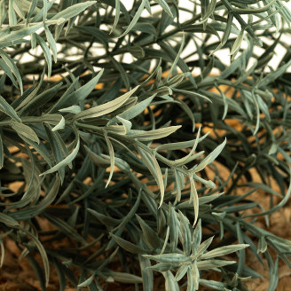 Fire-Retardant Artificial Asparagus - Grey-Green