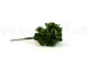Peperomia artificielle - Ignifug&eacute;e 3