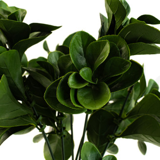 Peperomia Artificielle Ignifuge - Vert
