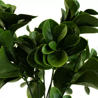 Peperomia artificielle - Ignifug&eacute;e