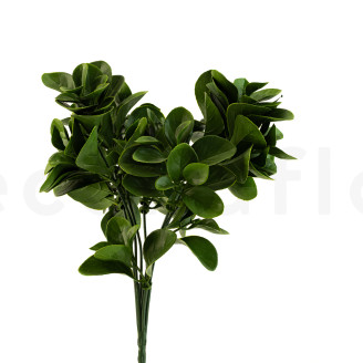 Peperomia Artificiale Ignifuga - Verde