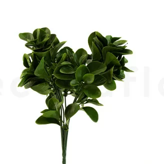 Peperomia artificielle - Ignifug&eacute;e