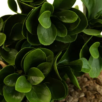 Fire-Retardant Artificial Peperomia - Green