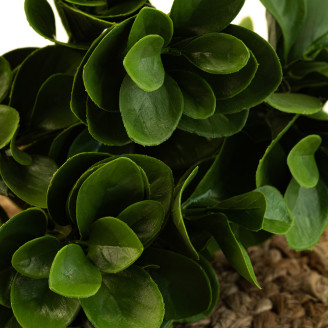 Peperomia Artificielle Ignifuge - Vert
