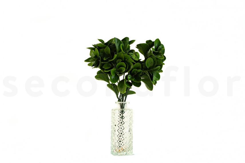 Peperomia Artificielle Ignifuge - Vert