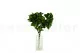 Artificial Peperomia - Fire retardant 1