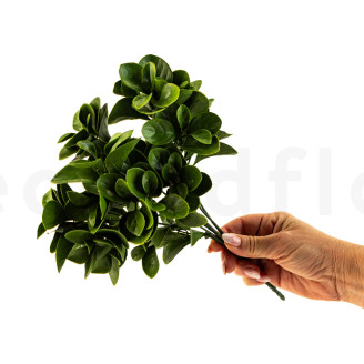 K&uuml;nstliche Peperomia Feuerbest&auml;ndig - Gr&uuml;n