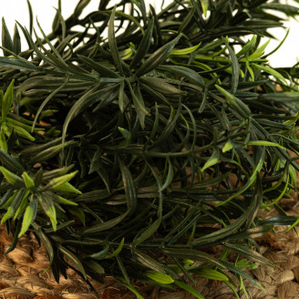 Asparagus Artificial Ign&iacute;fugo - Verde