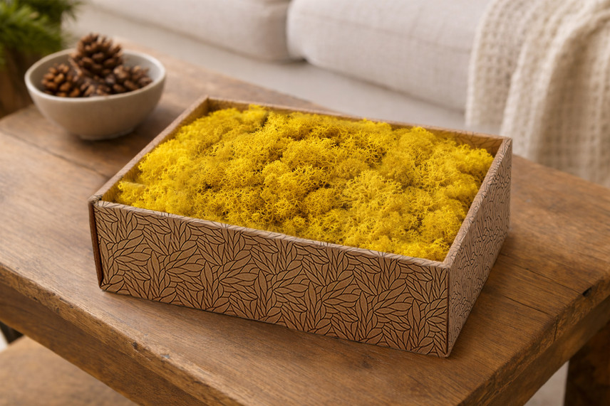Lichene preservato - Creabox M - Giallo