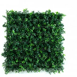 Plaque de Buis artificielle