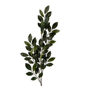 Ramas de Camelia Artificial Ign&iacute;fuga - Verde