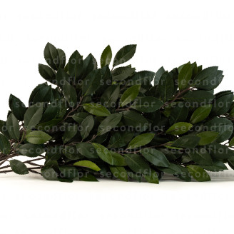 Rami di Camelia Artificiali Ignifughi - Verdi