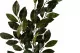 Artificial Camellia - Fire retardant 6