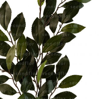 Ramas de Camelia Artificial Ign&iacute;fuga - Verde