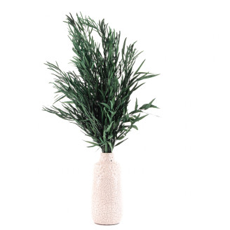 Eucalyptus Nicoly Stabilized - Green