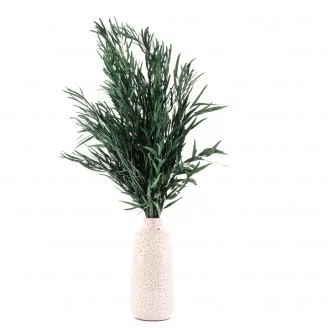 Preserved Nicoly Eucalyptus Green