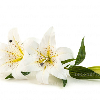 Lirio Gigante Artificial - Blanco