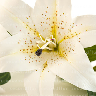 Lys G&eacute;ant Artificiel - Blanc