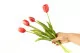 Bouquet de Tulipes artificielles Rose 3