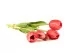 Ramo de Tulipanes artificiales Rosa 4