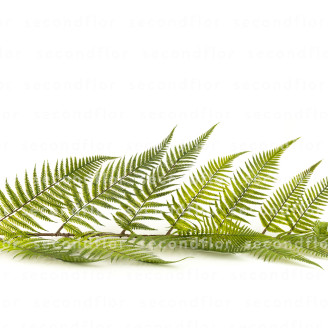 Felce Gigante Artificiale - Verde