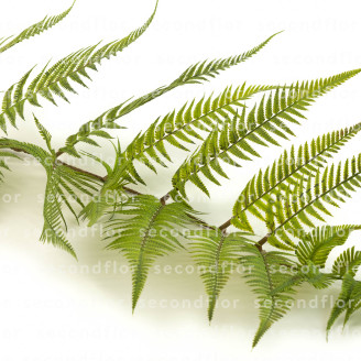 Artificial Giant Fern - Green